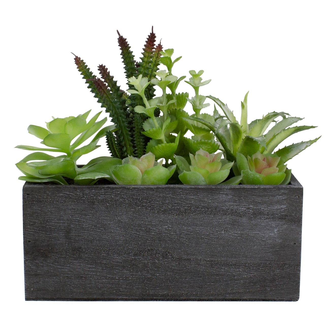10" Mixed Succulent Plants in Rectangular Planter